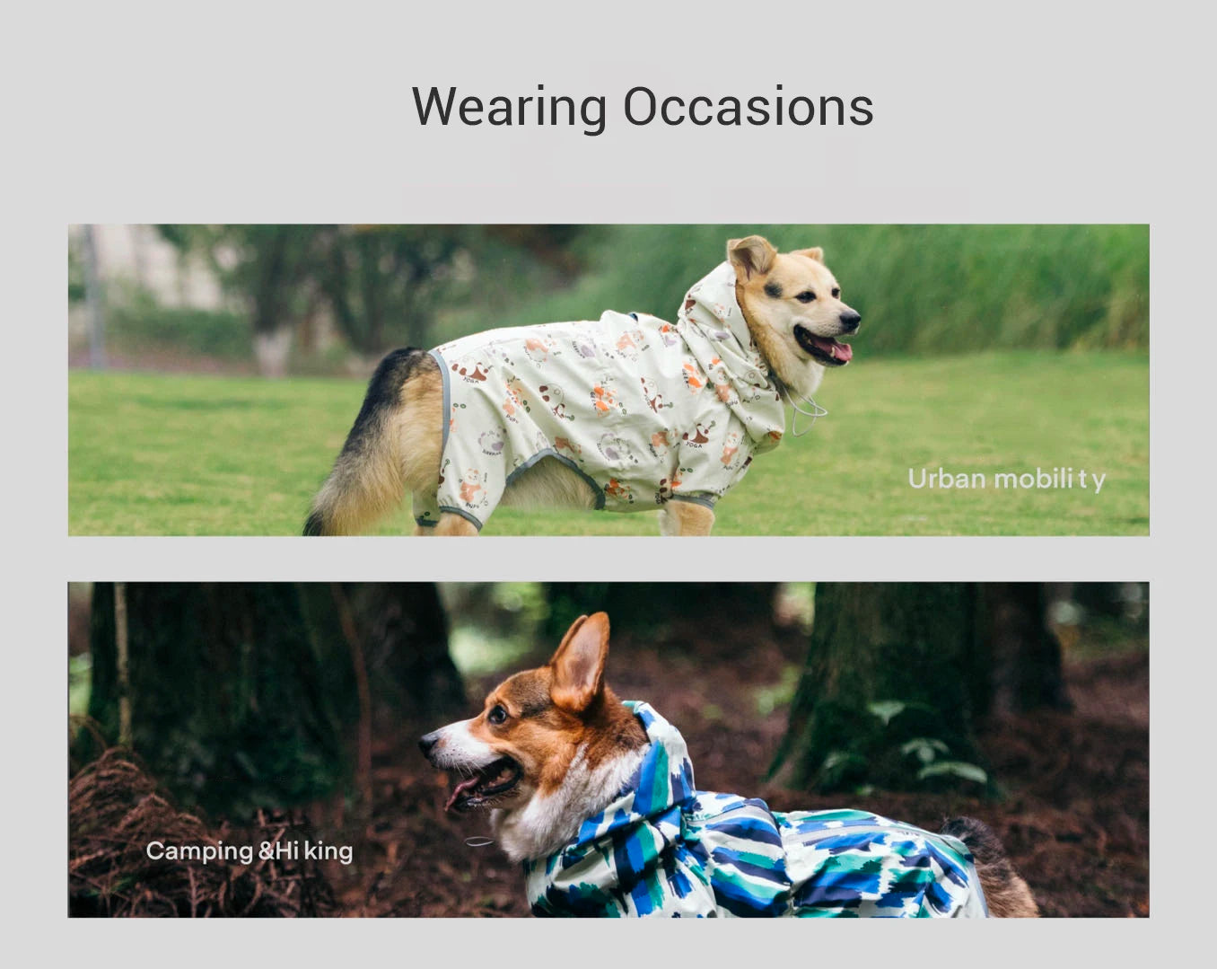 Waterproof Dog Raincoat Full Body-Covered Pet Rain Coat with Cuttable Belly Full Prints Outdoor Rain Jacket for Medium Large Dog